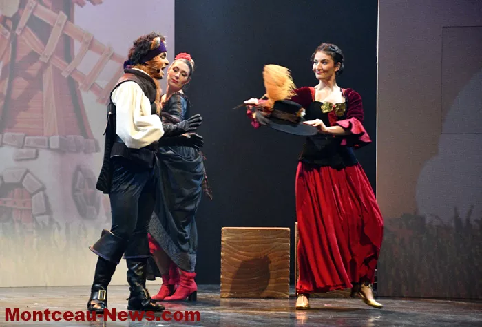 chat-beaute-montceau-1812258