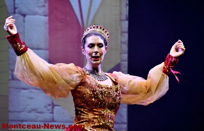 embarcadere-chat-beaute-1812251