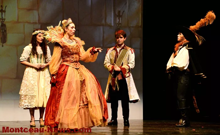 embarcadere-chat-beaute-18122514