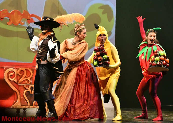 embarcadere-chat-beaute-1812252