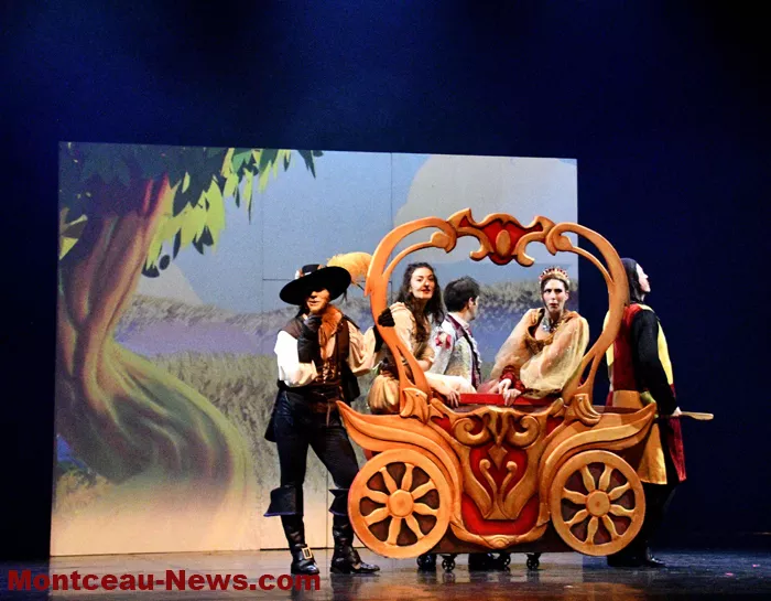 embarcadere-chat-beaute-1812259