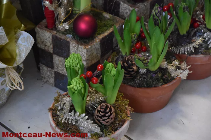 fleurs-chapuis-2312252