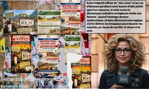 La Dermatose Nodulaire Contagieuse (DNC)