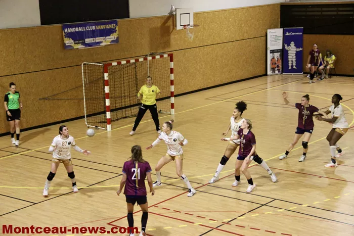 hand-dijon-sanvignes-18122517