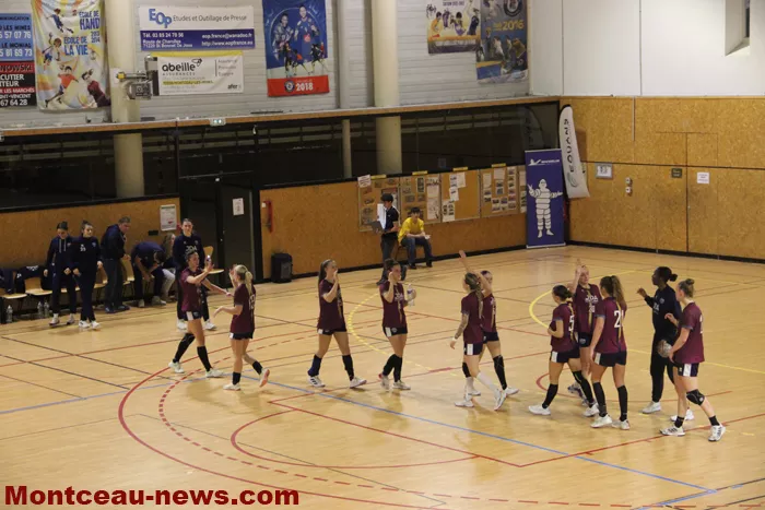 hand-dijon-sanvignes-18122524