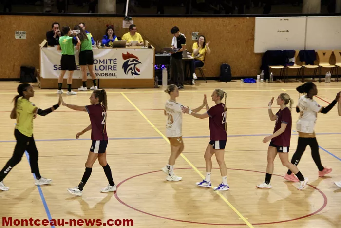 hand-dijon-sanvignes-18122529