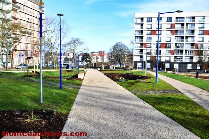 travaux-plessis-1912256