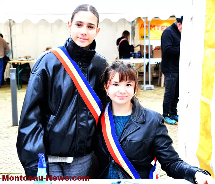 treuffe-telethon-montceau-07122535