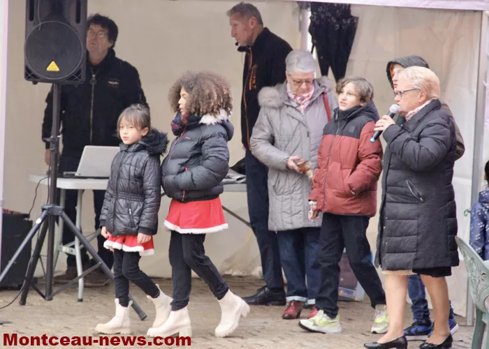 ville-noel-montceau-21122511