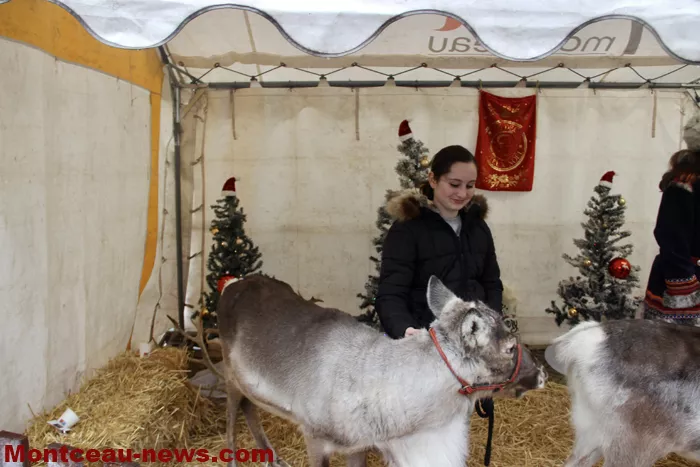 ville-noel-montceau-21122518