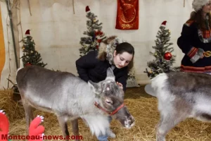 Noël au cœur de la ville