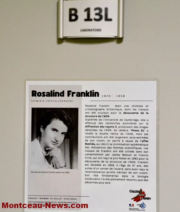 college-st-ex-0901268