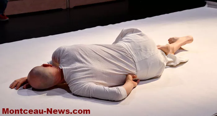 ecla-meduse-st-vallier-1101263