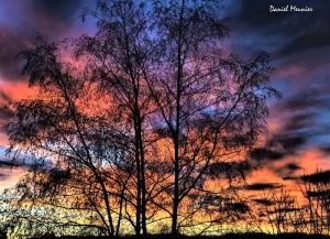 Parenthèse poétique