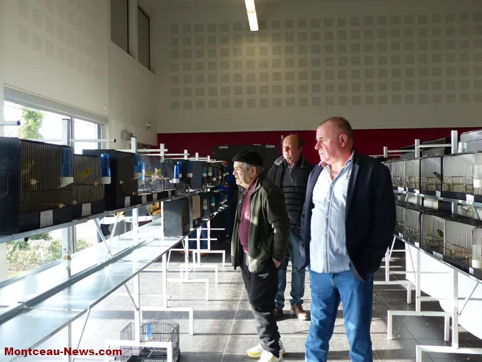 salon-oiseaux-25012612