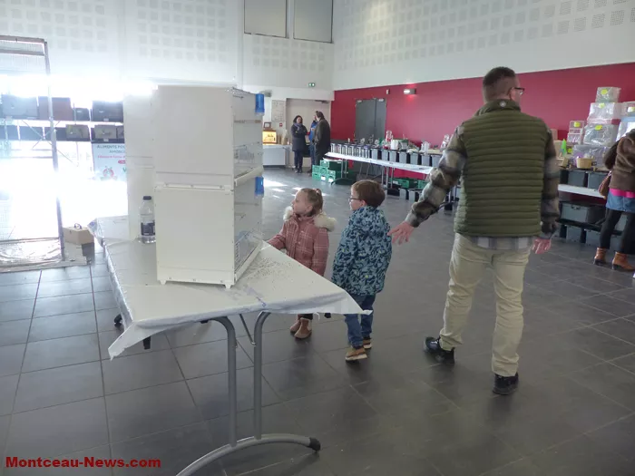 salon-oiseaux-25012628