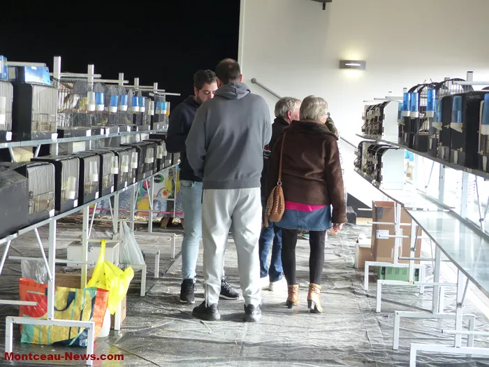 salon-oiseaux-2501263