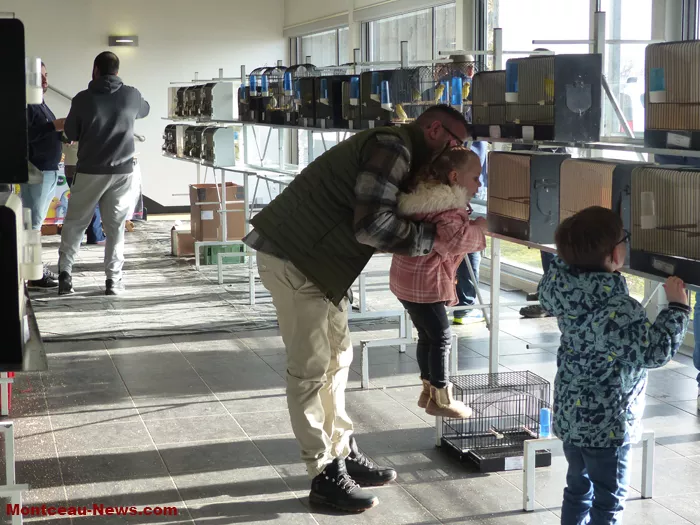 salon-oiseaux-25012633