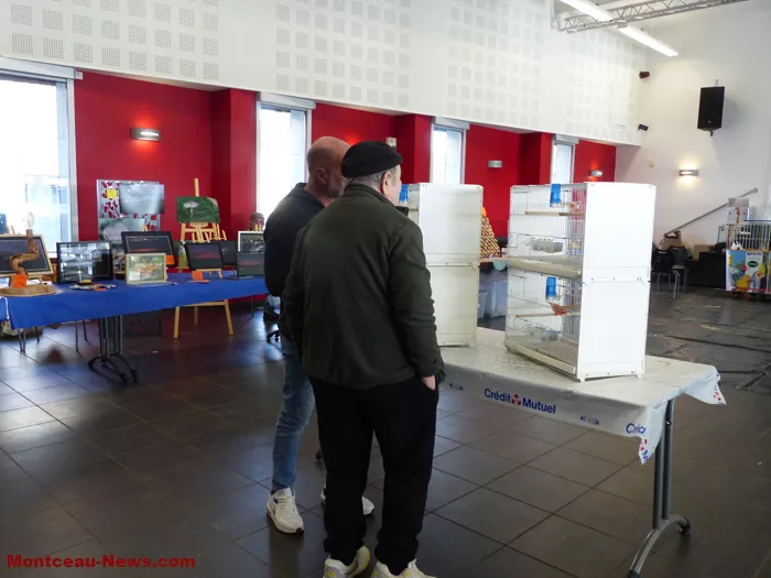 salon-oiseaux-25012644