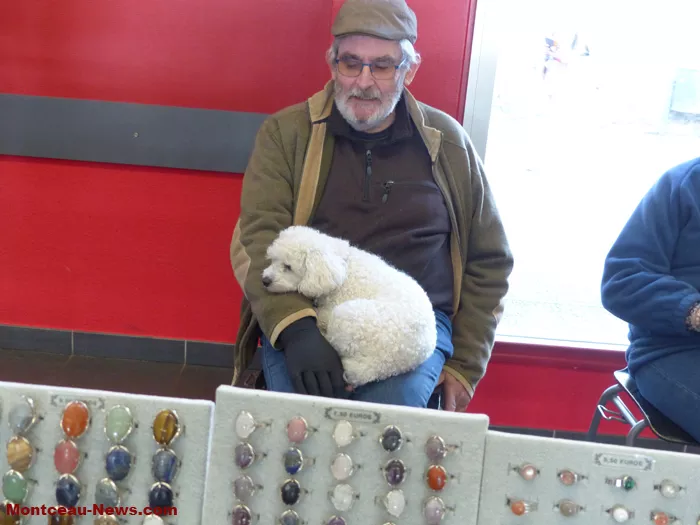 salon-oiseaux-25012645