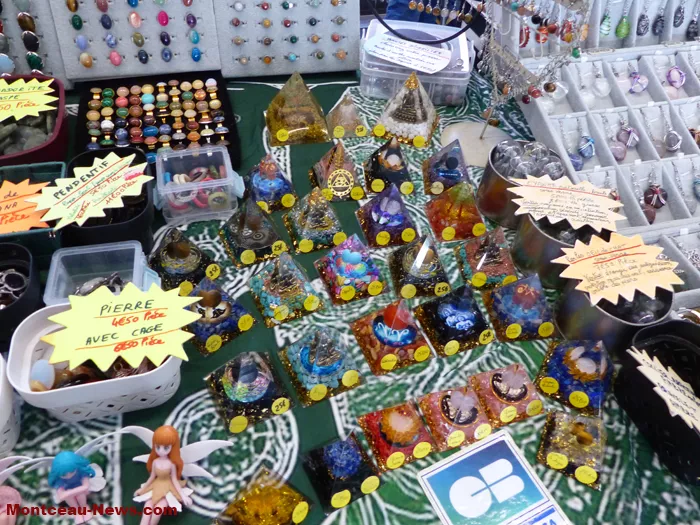 salon-oiseaux-25012646