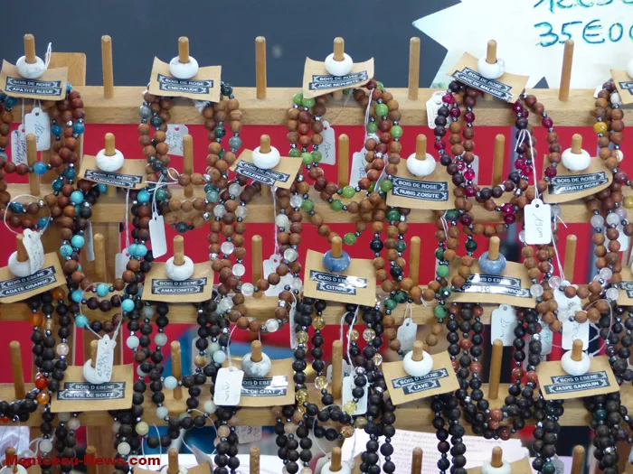 salon-oiseaux-25012650