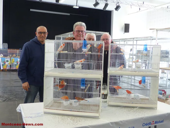 salon-oiseaux-25012660