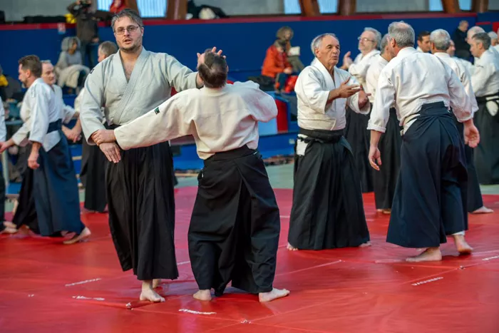 aikido-1102264