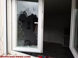 Montceau-les-Mines :   Pattes de velours 