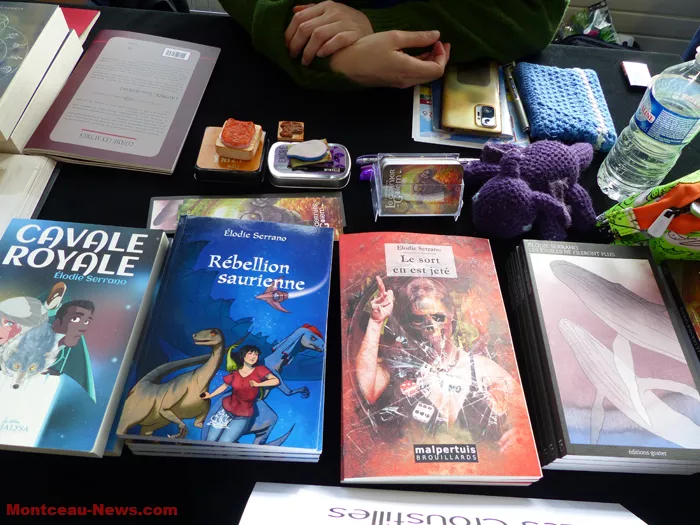 fete-livres-st-vallier-01022627