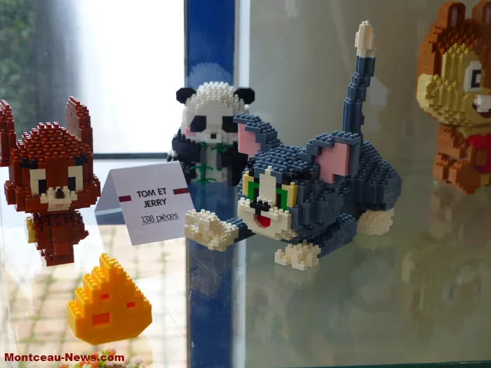 fete-livres-st-vallier-0102264