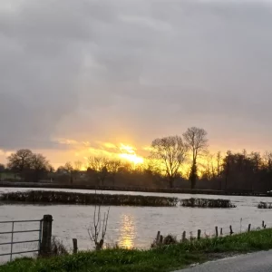 Une lectrice nous écrit…..
