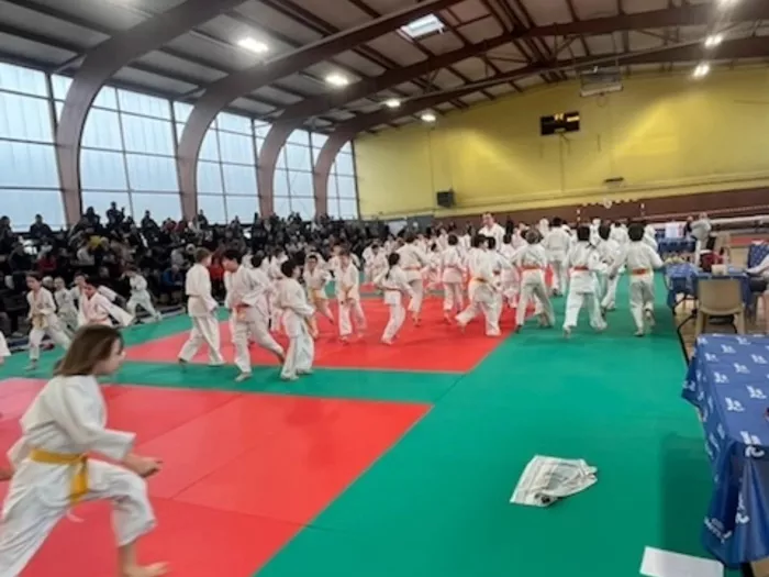 judo-0302261