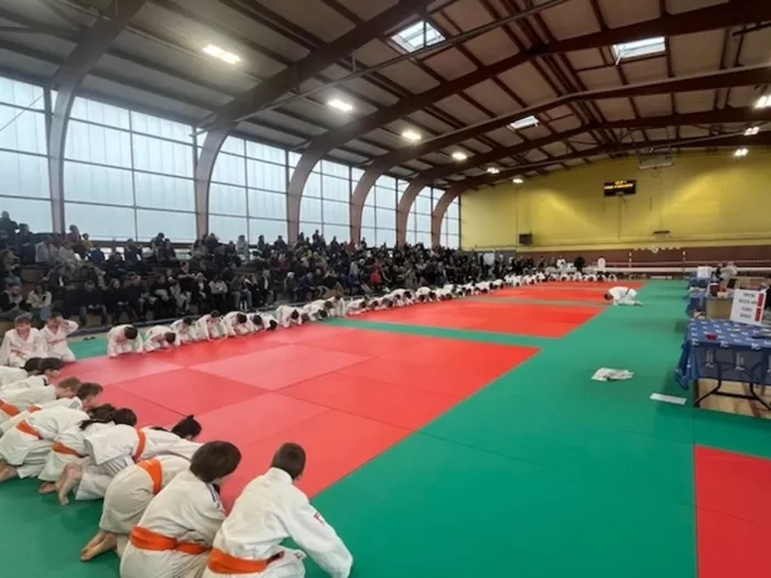 judo-0302262