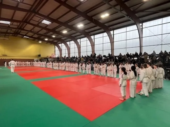 judo-0302263