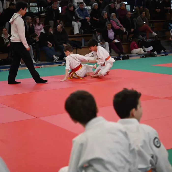 judo-0302265