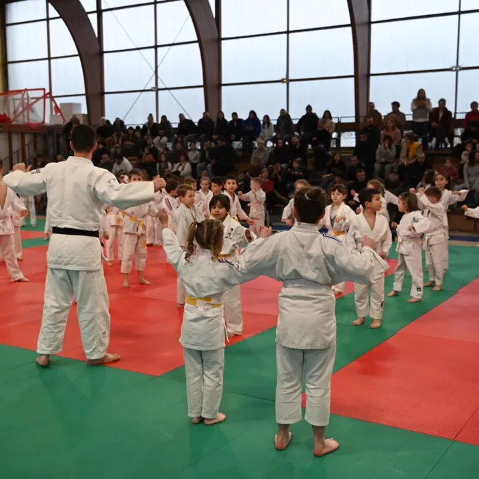 judo-0302266