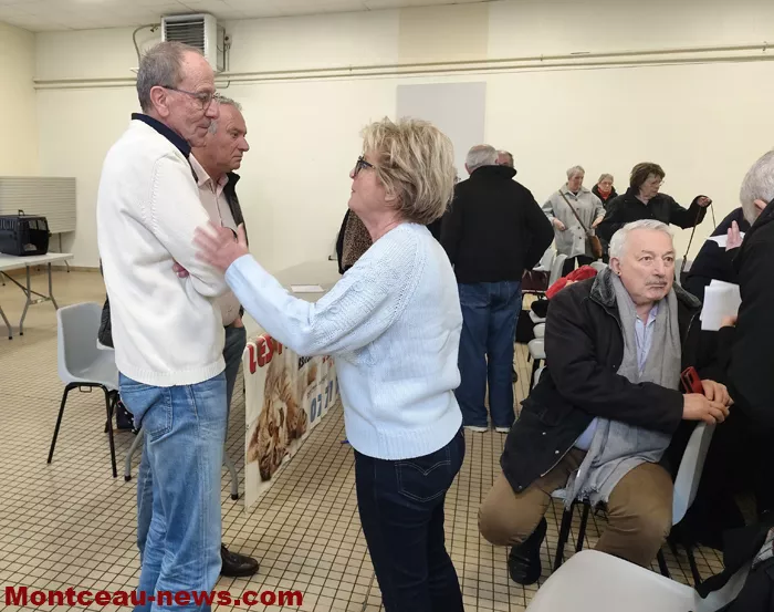 pattes-velours-ag-1502265