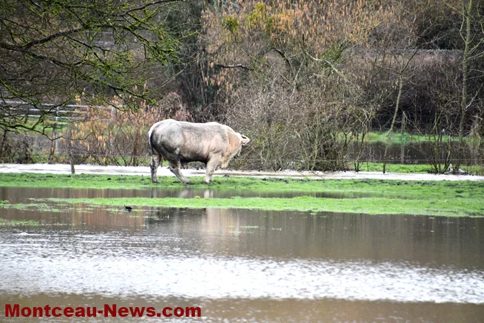 pluie-inondation-1602263