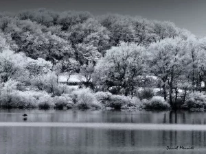 Parenthèse poétique