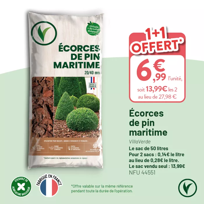 VILLAVERDE_OP_TERREAUX_RS_1080X1080_20251212_10