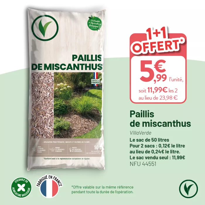 VILLAVERDE_OP_TERREAUX_RS_1080X1080_20251212_8