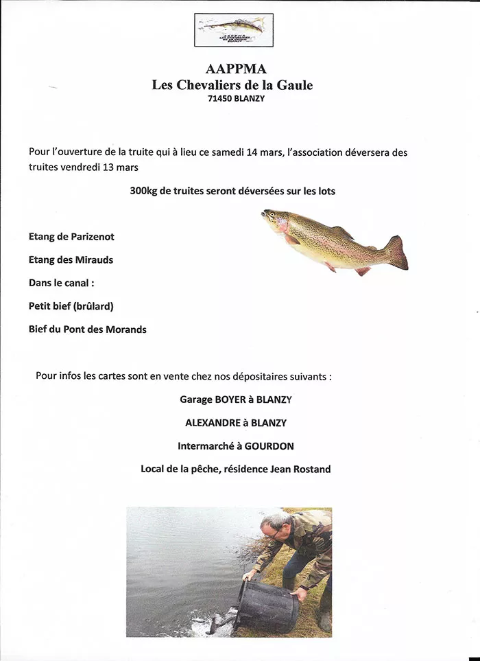 chevalier-de-la-gaule-090326