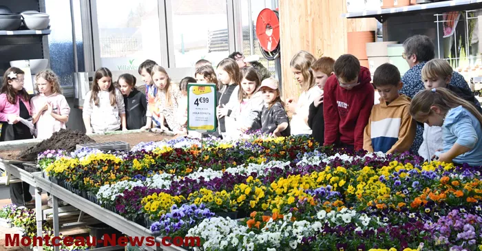 ecole-villaverde-1803271