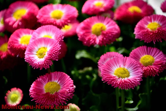 ecole-villaverde-18032710