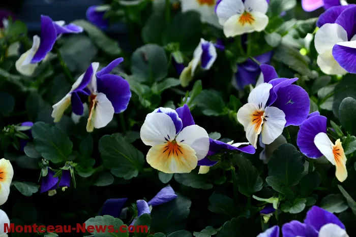 ecole-villaverde-18032713