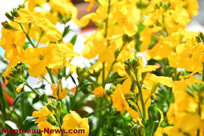 ecole-villaverde-1803279