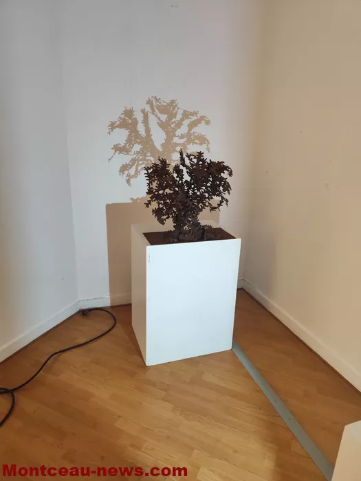 julien-clar-29032619