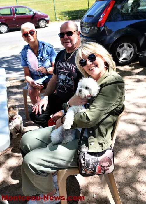 alternative-broc-2704266