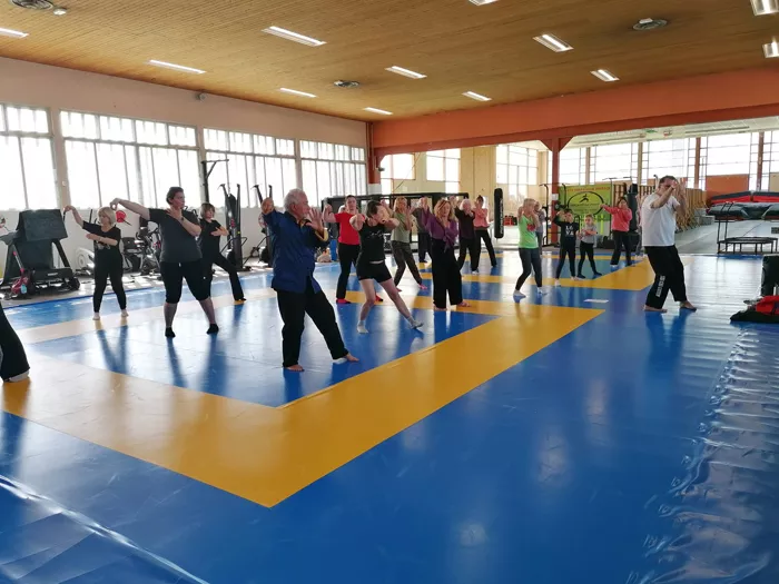 art-martiaux-1904263